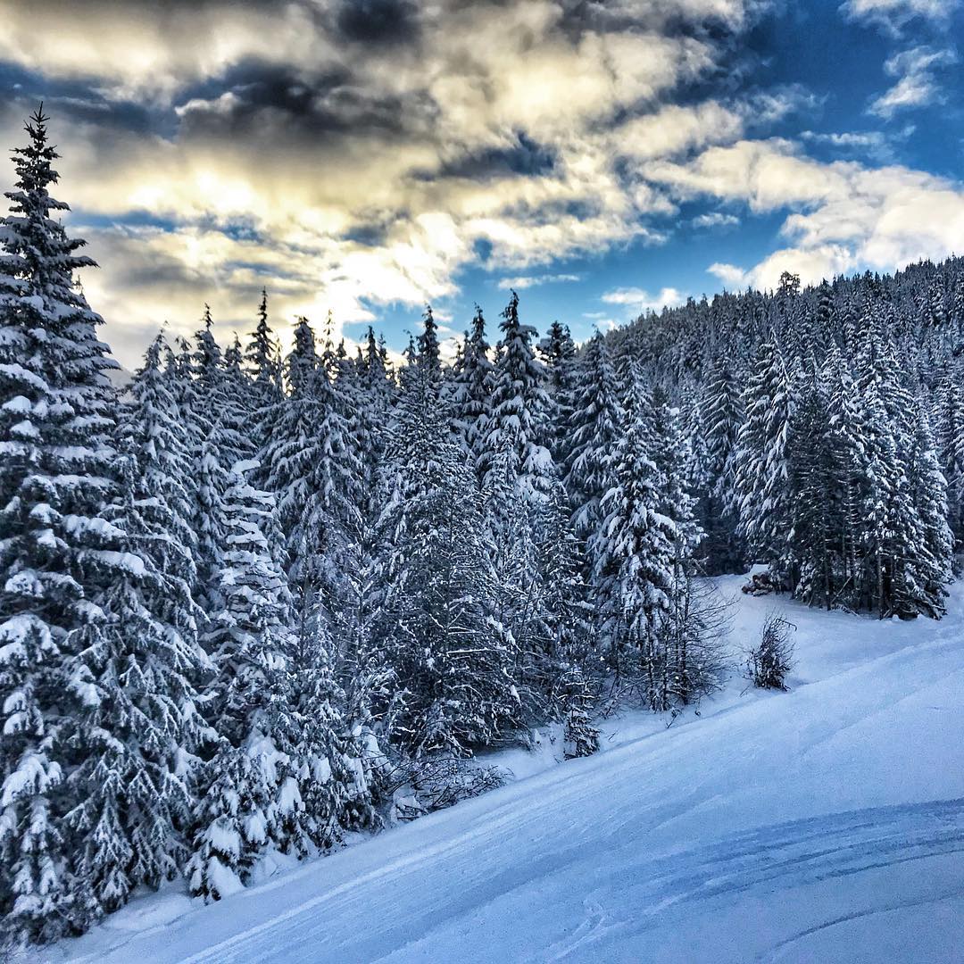 25009498_1945913308994299_2096288264896905216_n