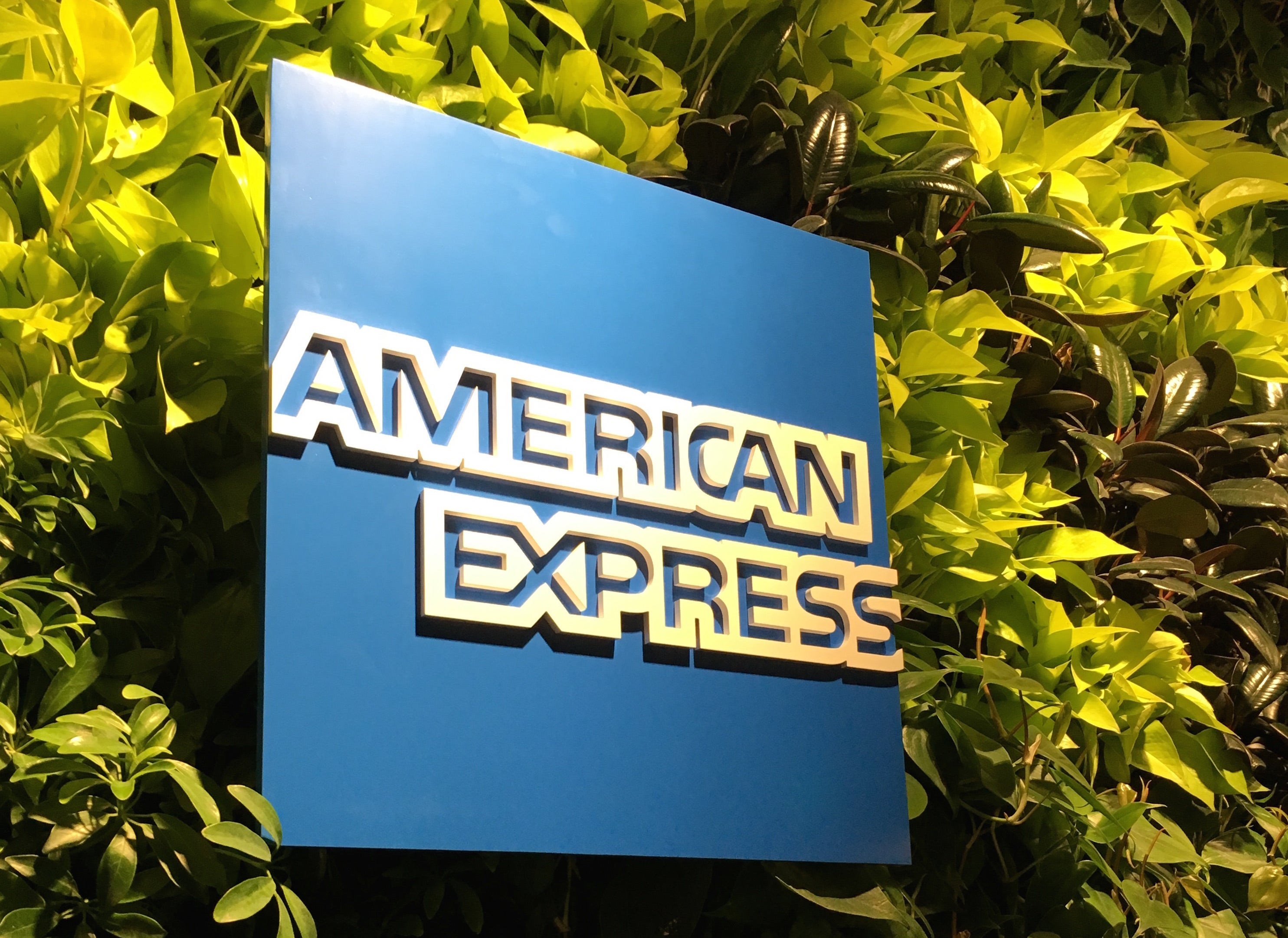 Amex-Logo