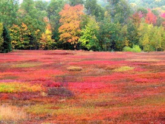 DSCN0135-e1479869734880