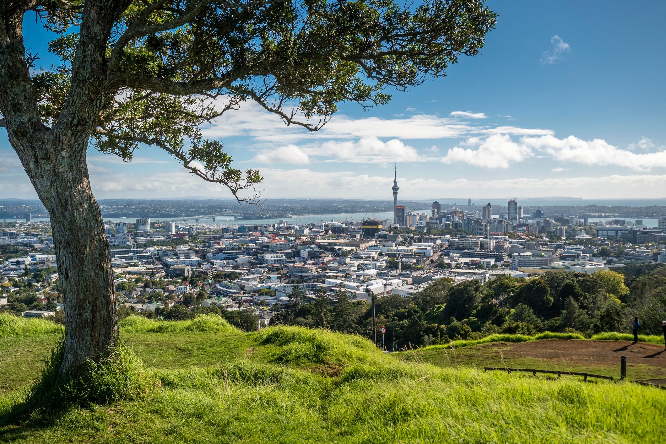New Zealand, North Island, Mount Eden, Auckland, cityscape