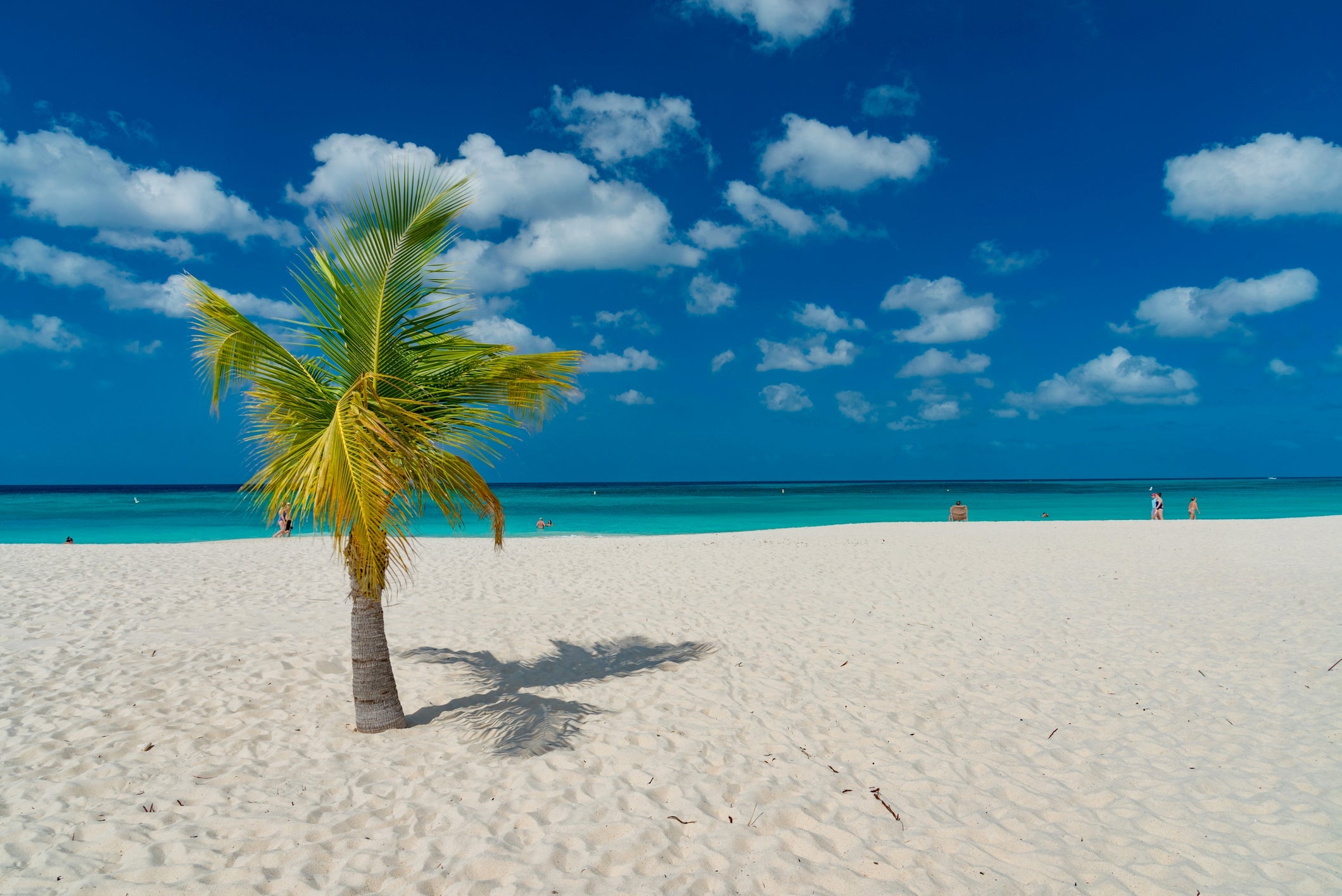 caribbean island Aruba