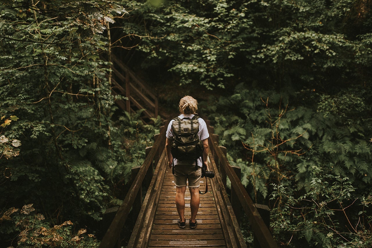 backpacking rainforest