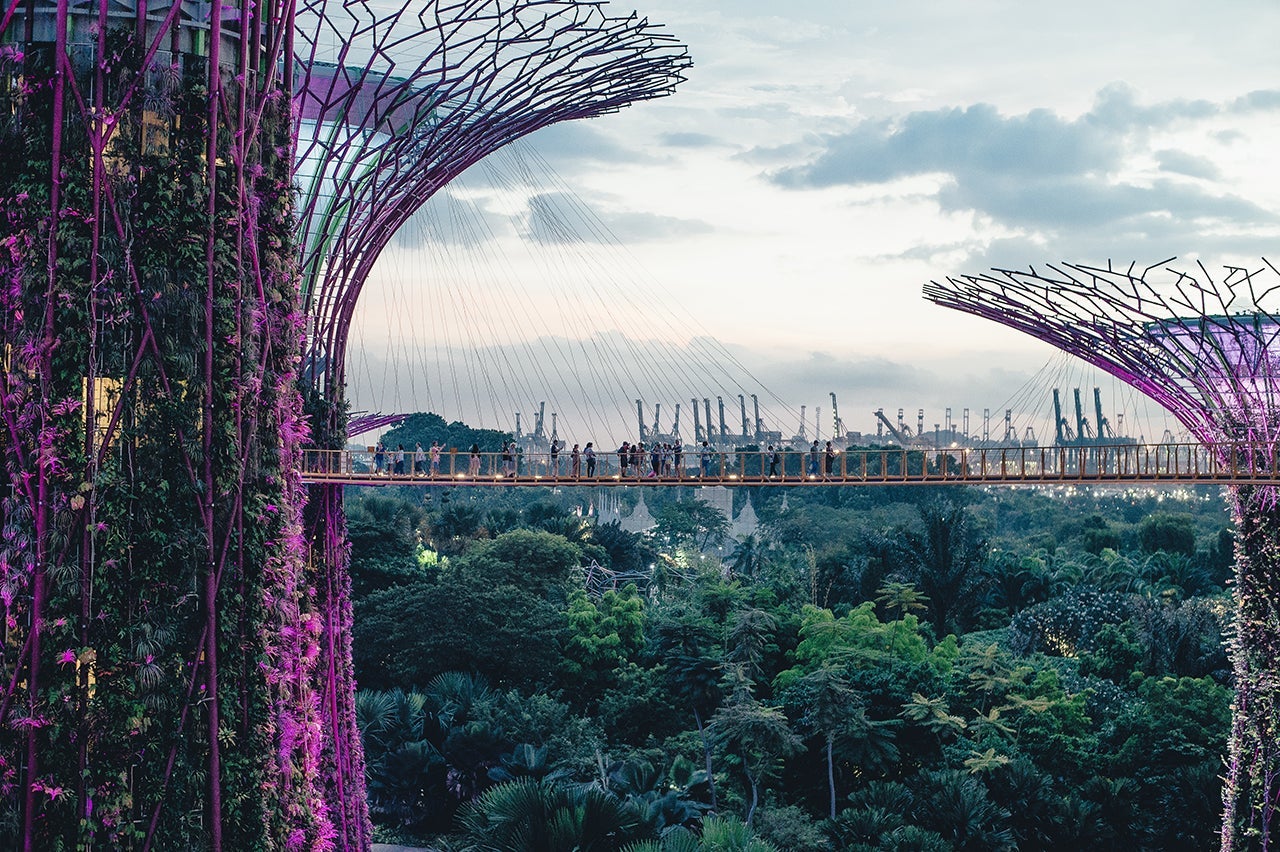 singapore-feature-new routes july 2018