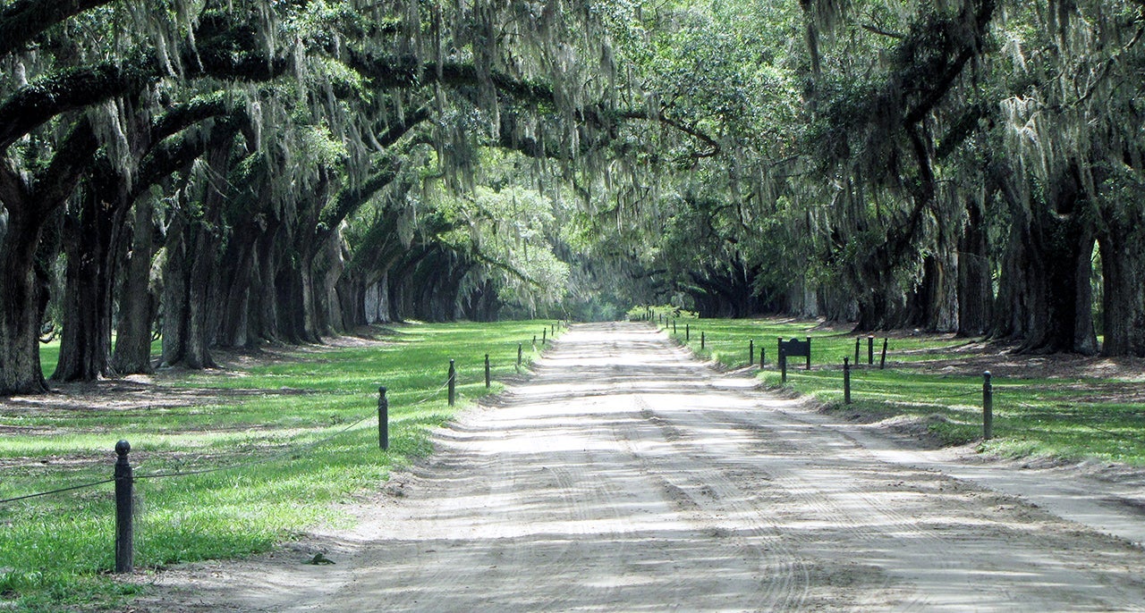 Boone Hall Plantation