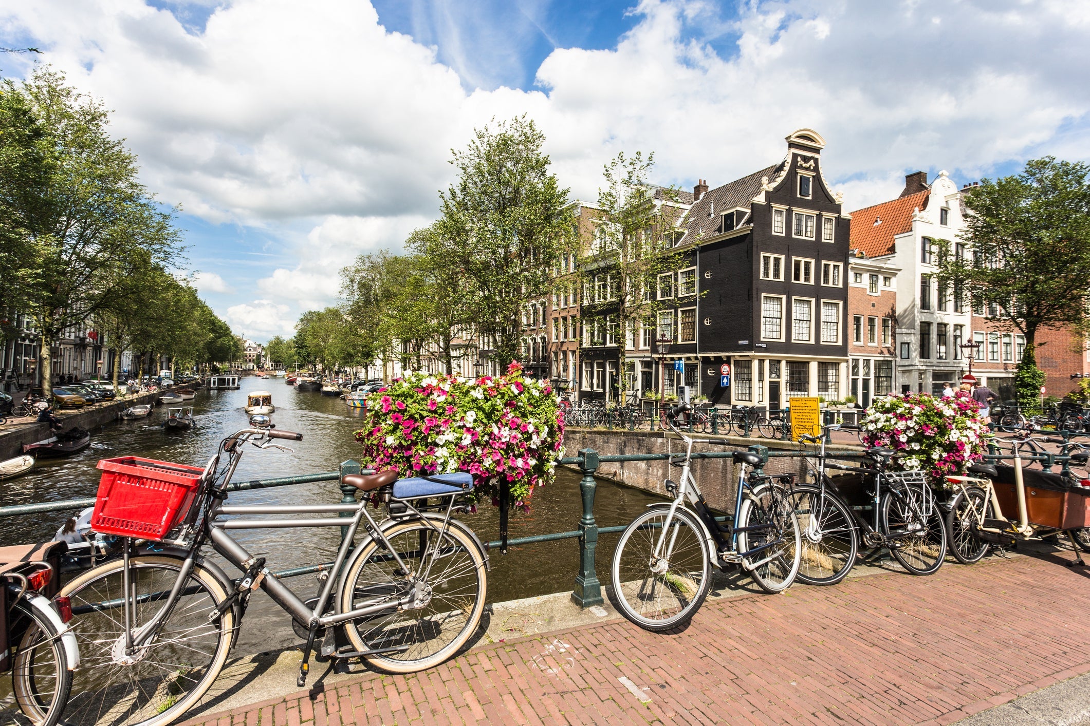 Amsterdam canals and bicycle on a sunny summer day