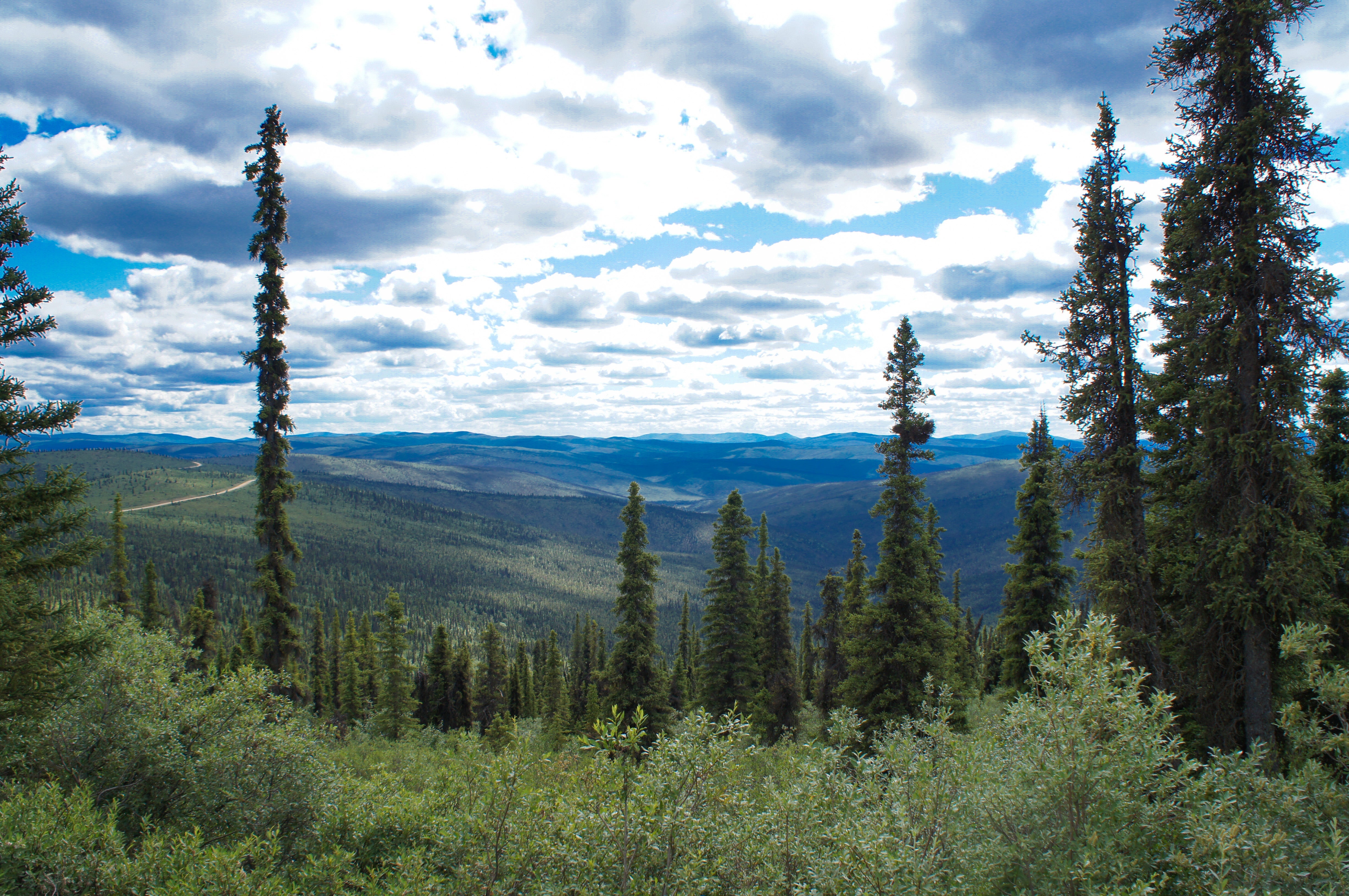 Landscapes along the Top of the World Highway