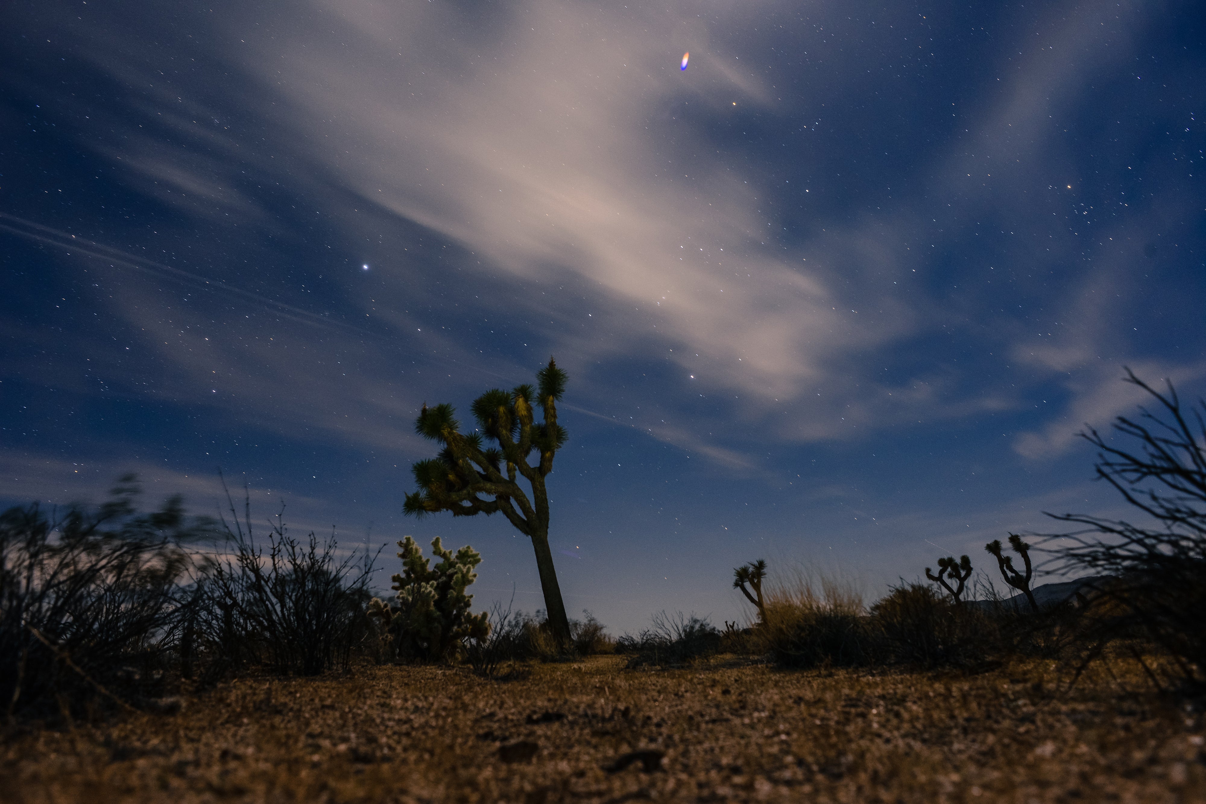 02.27.2015---Joshua-Tree-Ryan-Mountain-Hike-and-Star-Pictures_7378