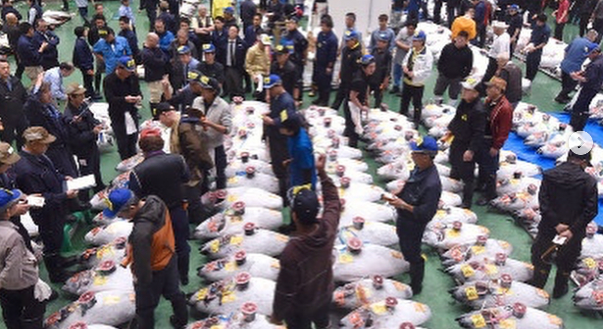 Screen Shot 2018-10-12 at 12.41.18 PM