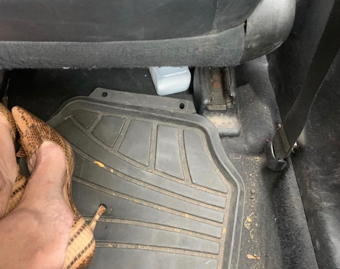 Screen Shot 2018-11-20 at 12.29.45 PM