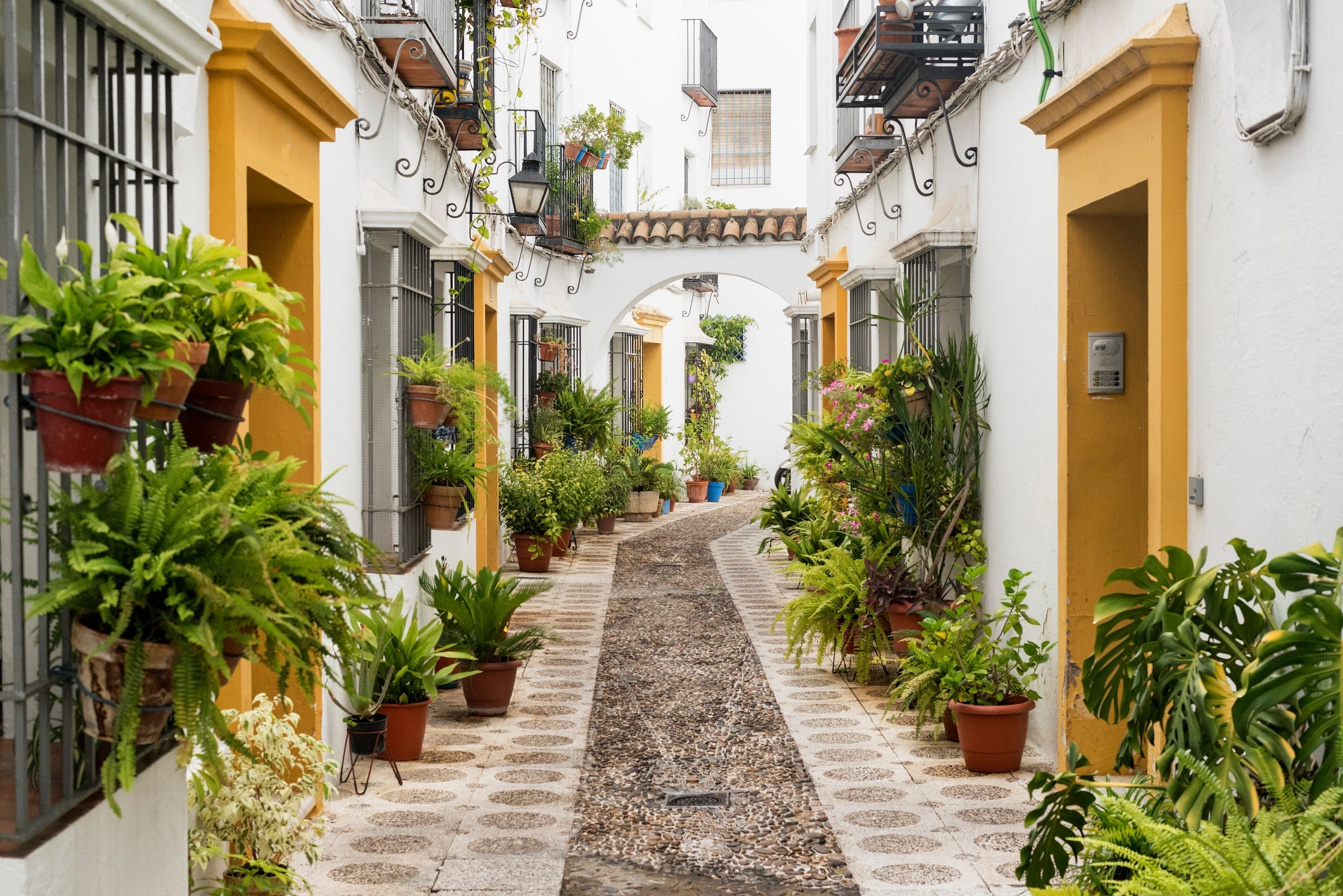 Cordoba (Andalucia, Spain): street