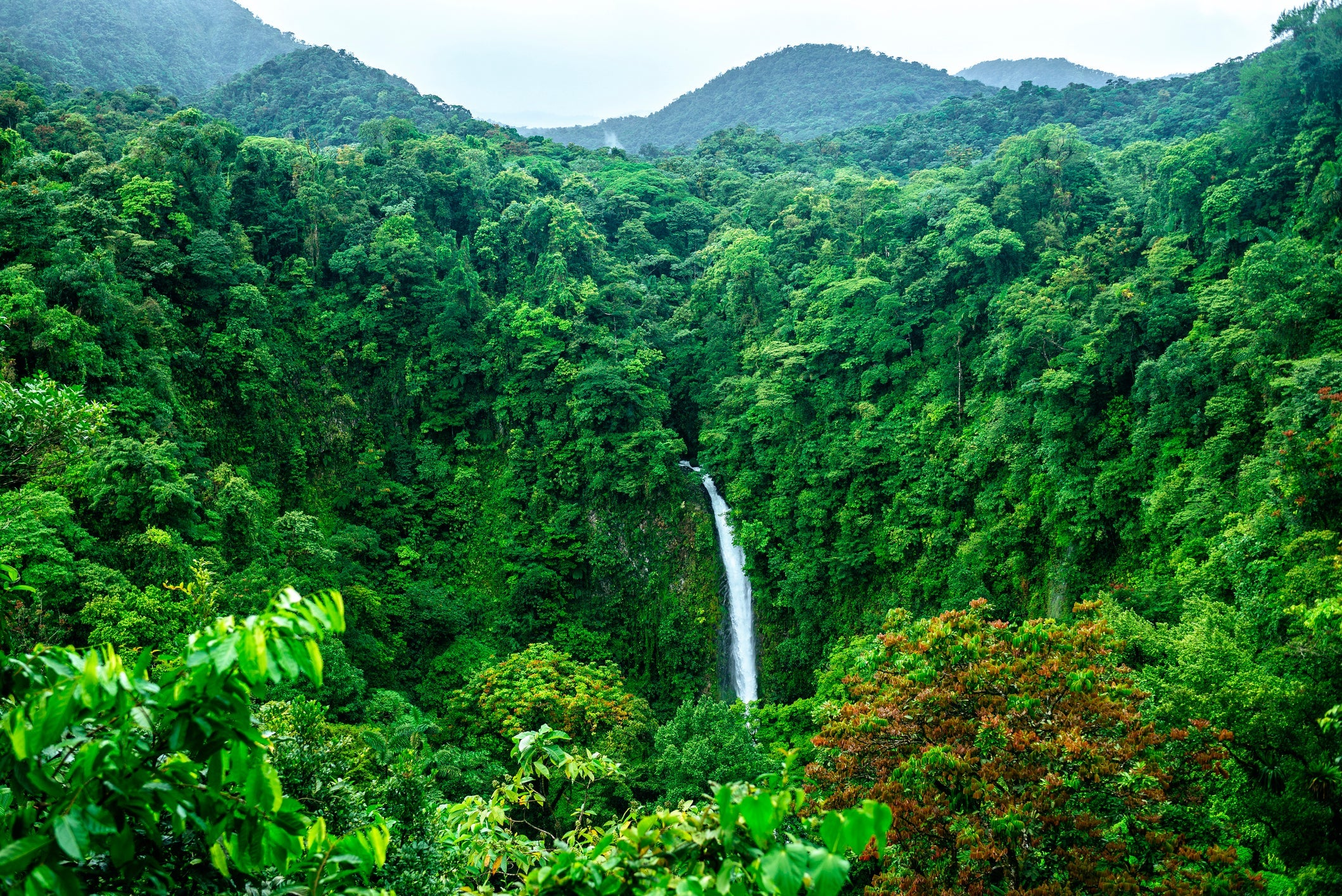 Costa Rica, Arenal Volcano National Park with the waterfall of La Fortuna