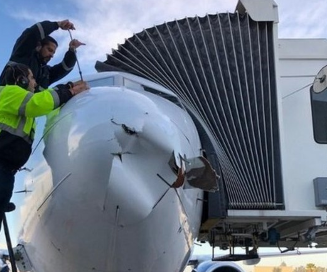 Screen Shot 2018-12-14 at 10.23.11 AM