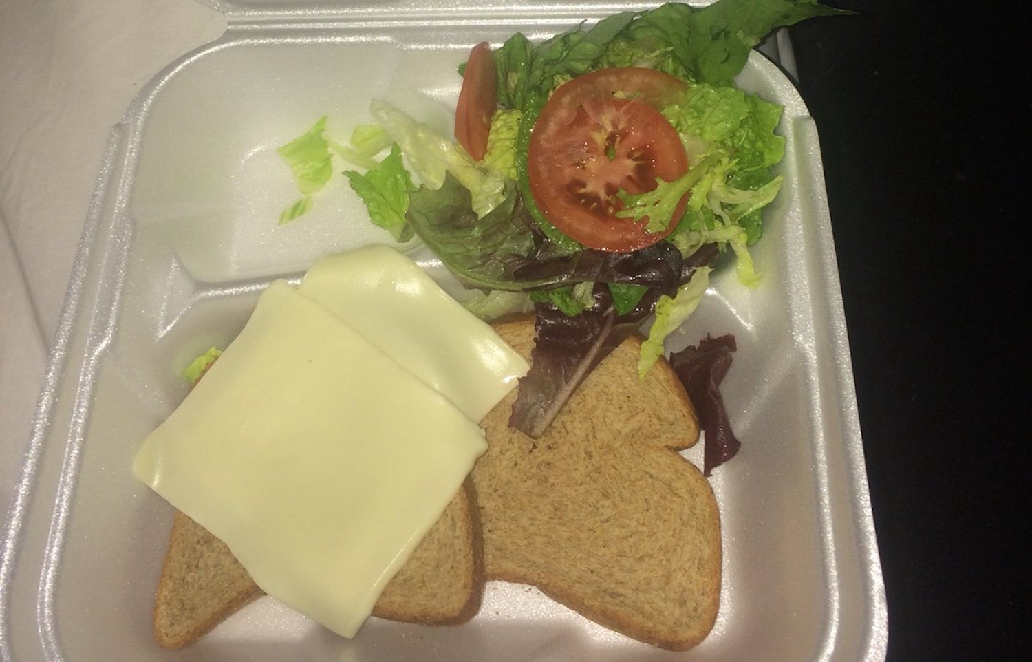 1493671228453-fyre-sandwich-copy