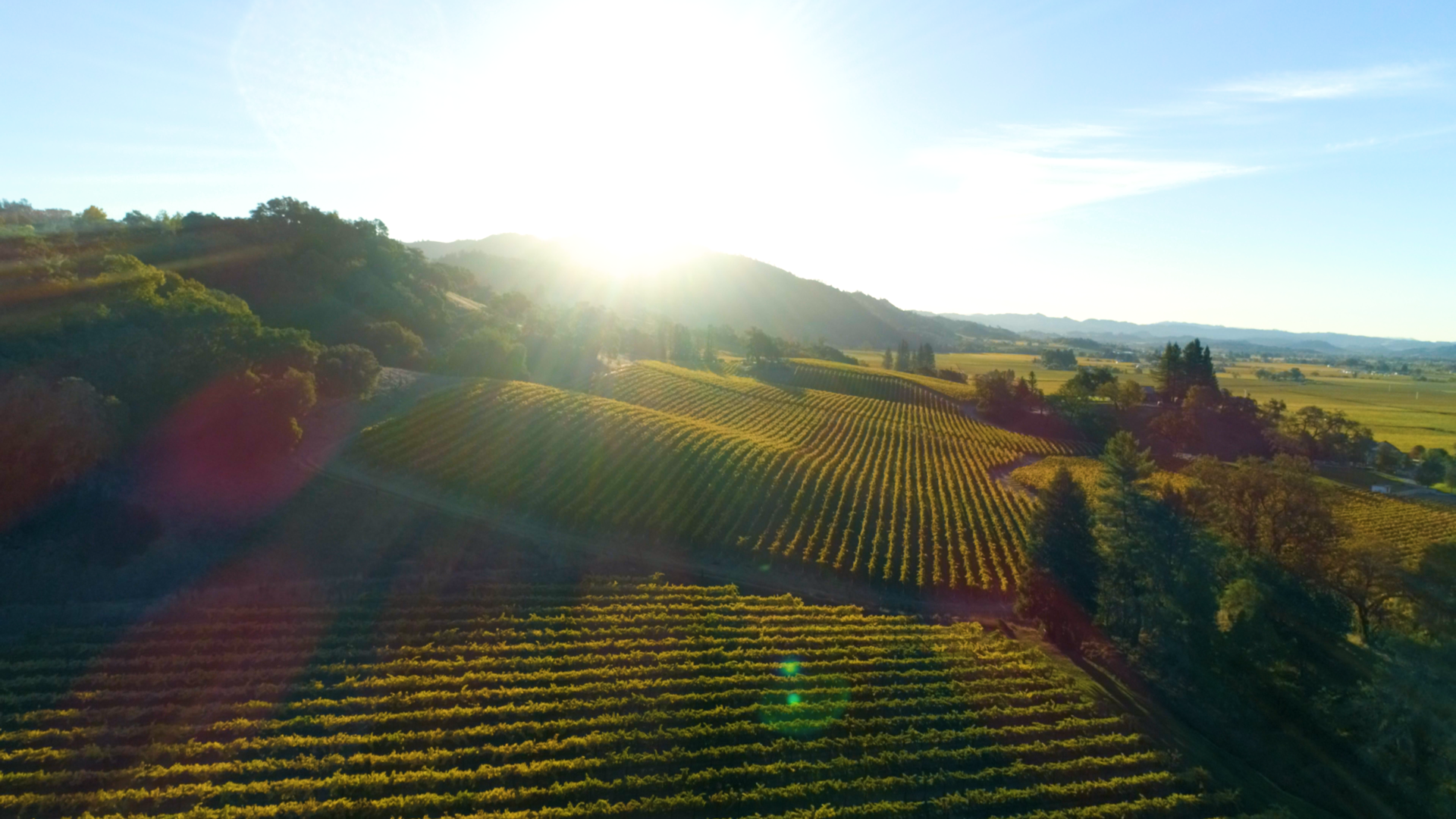 CapitalOne_Ep102_Napa_STILL5