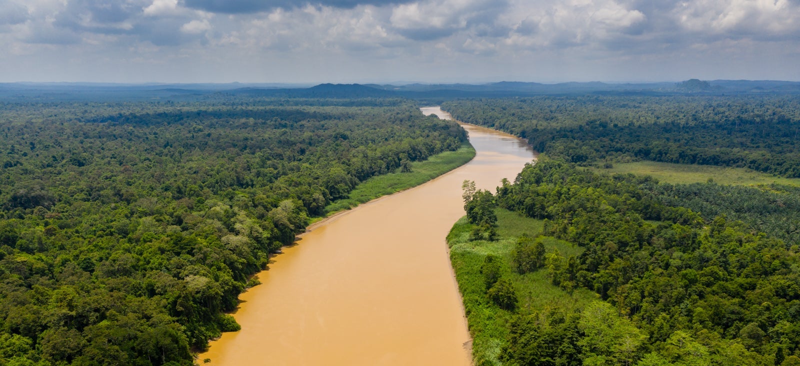 Feature_Kinabatangan River_shutterstock_1219290454