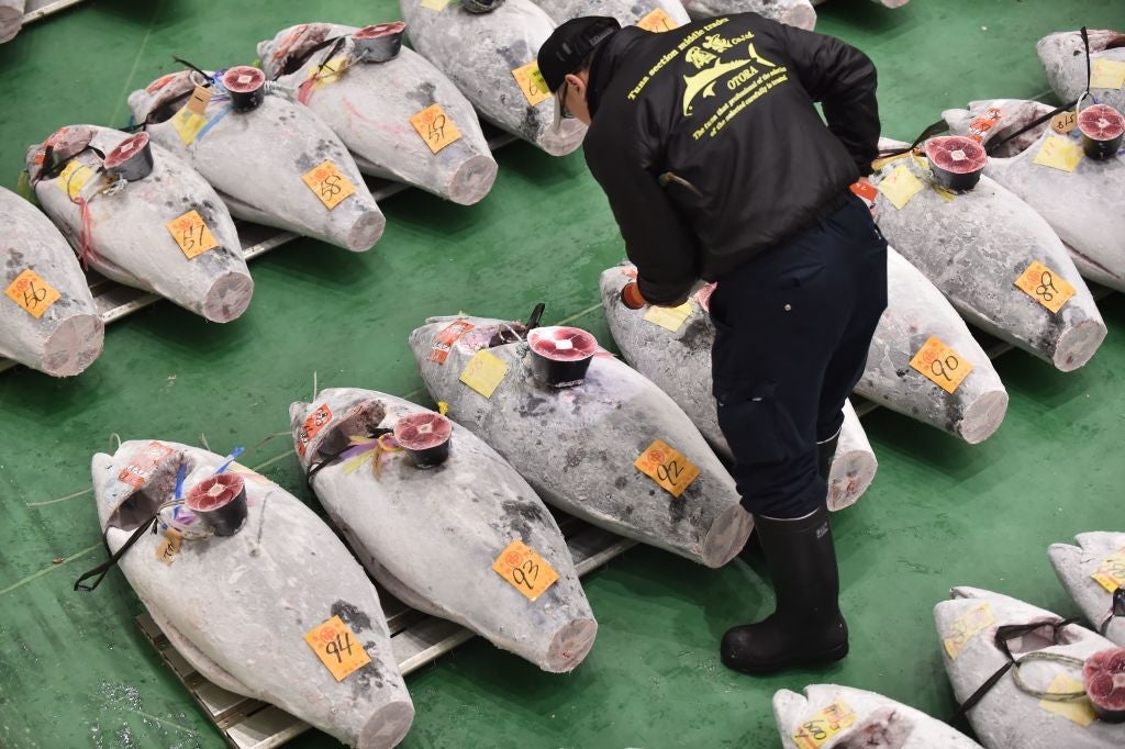 JAPAN-FLIFESTYLE-FISHING-AUCTION-FOOD-TUNA