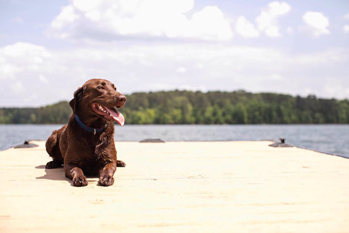 Ritz Carlton Reynolds