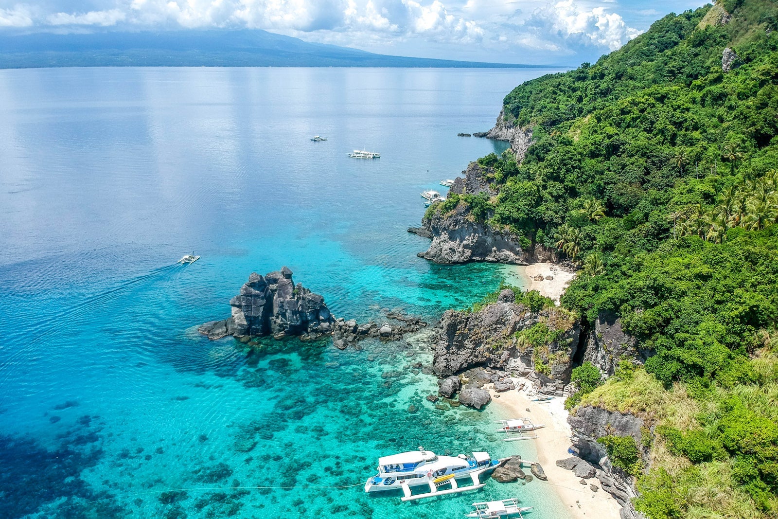 feature_Apo Island, Dauin, Philippines_cris-tagupa-566772-unsplash