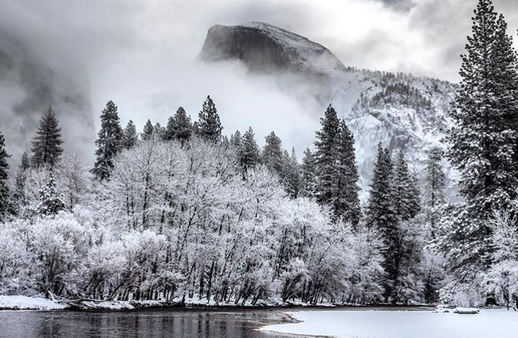 51538834_10155808648312064_8249597457864851456_n