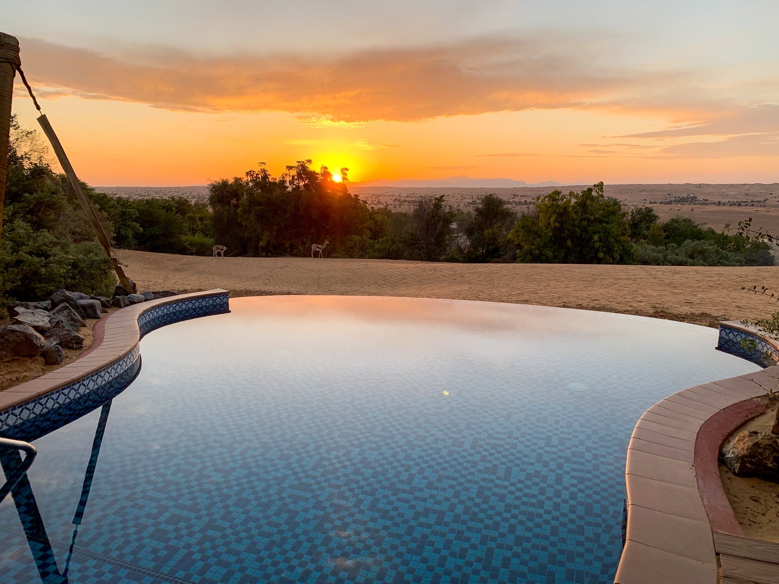 Al Maha Dubai_Feb 2019_ESteinberg-40