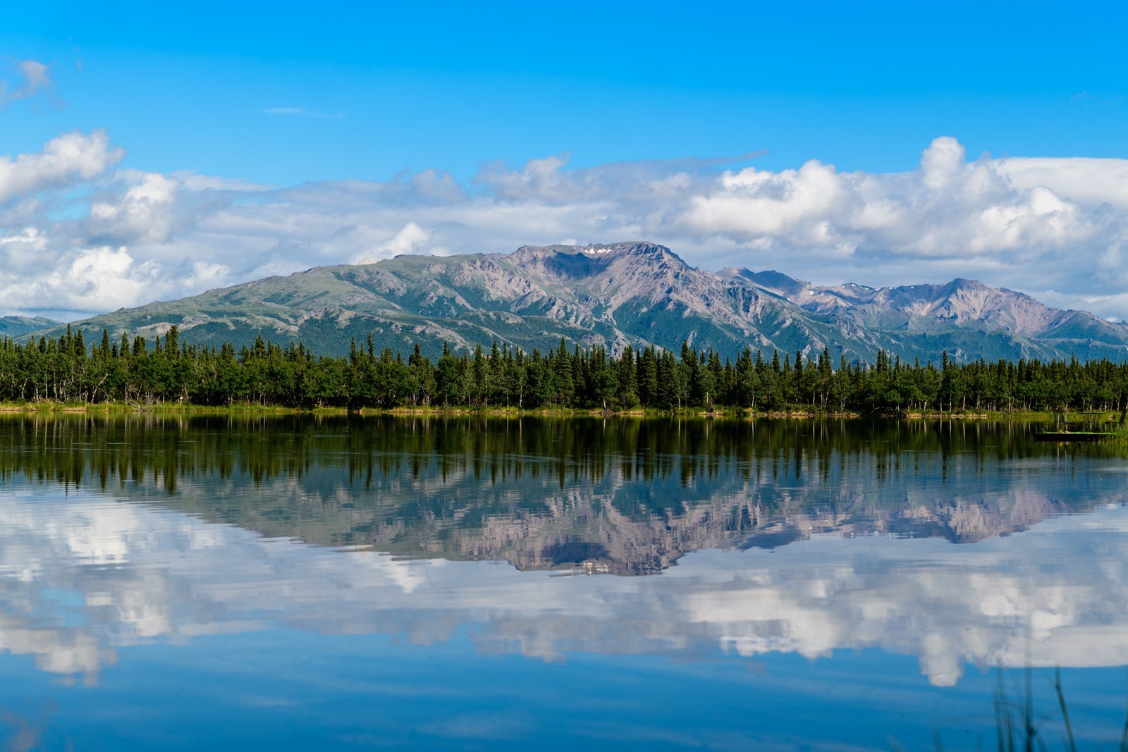 Denali National Park and Preserve_Alaska_hari-nandakumar-742808-unsplash