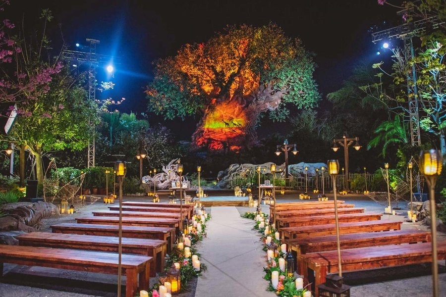 animal-kingdom-wedding-venue-disney-world-DISWED0319