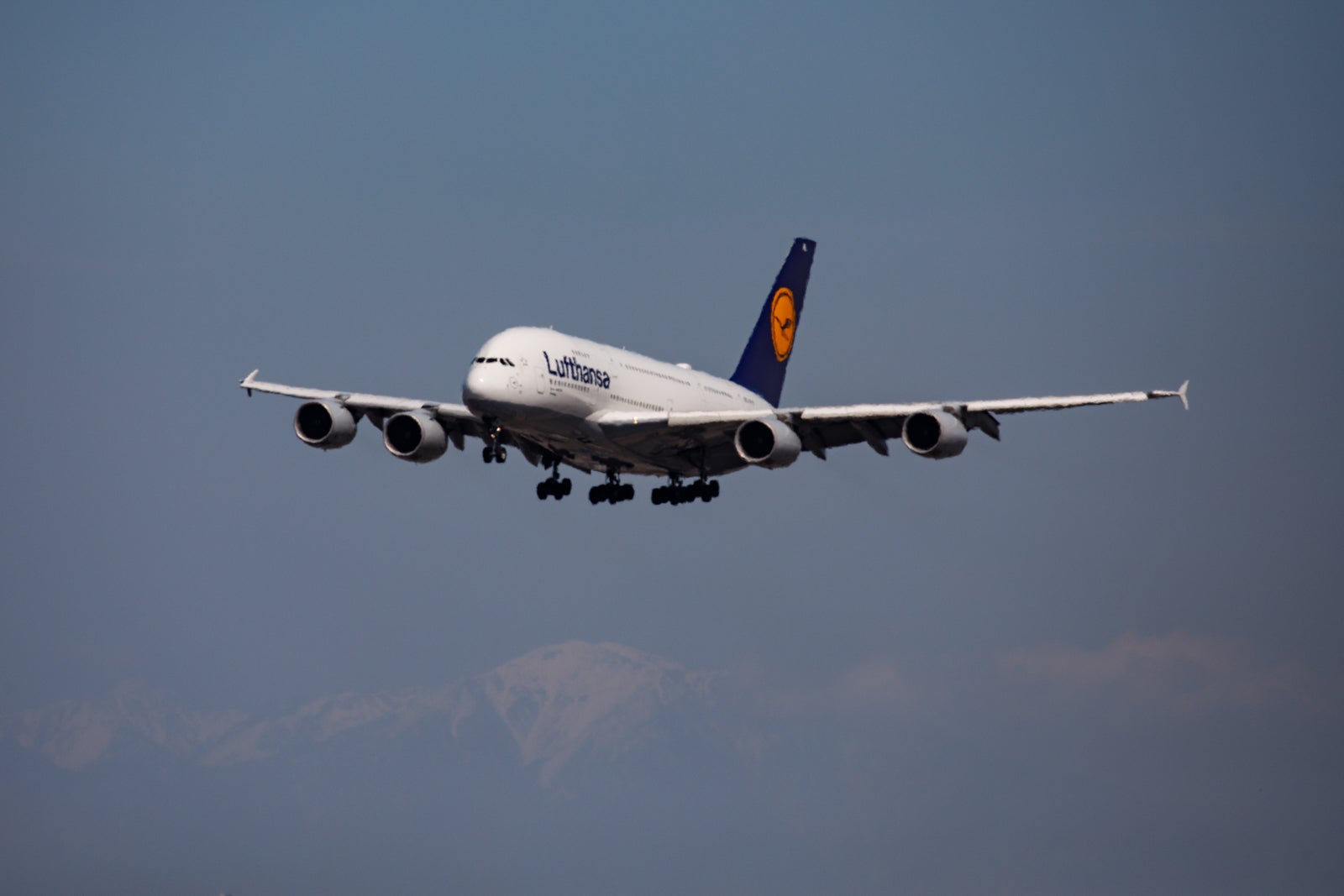 LAX Airport Operations