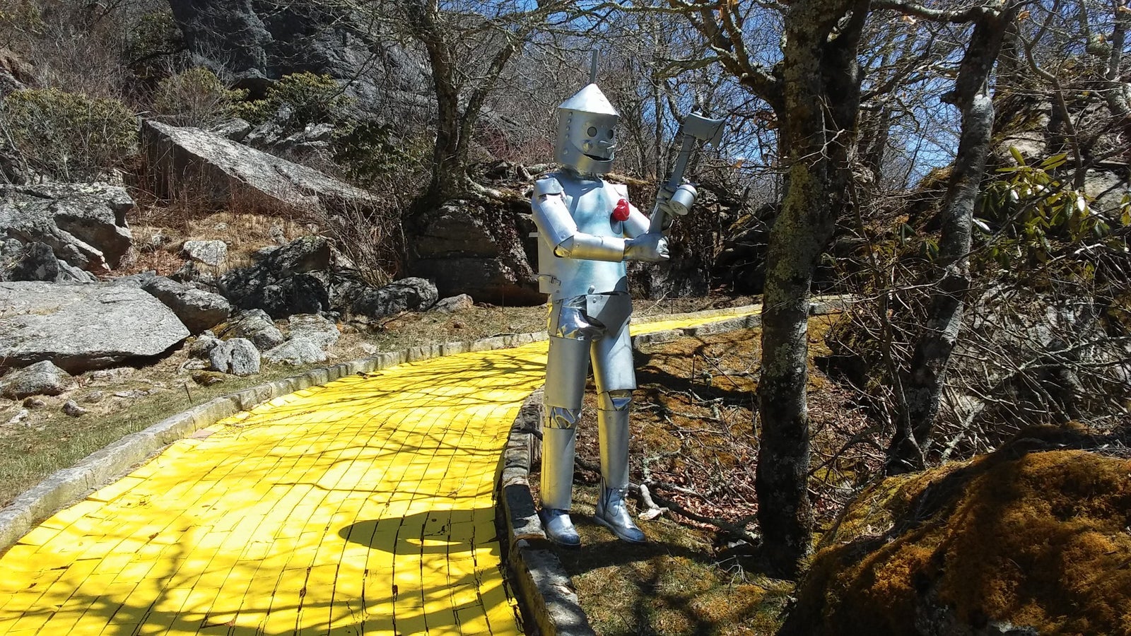 Land of Oz_via Bambithepig on Flickr