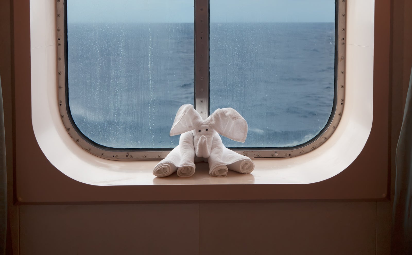 Towel in shape of Elephant on Cruise