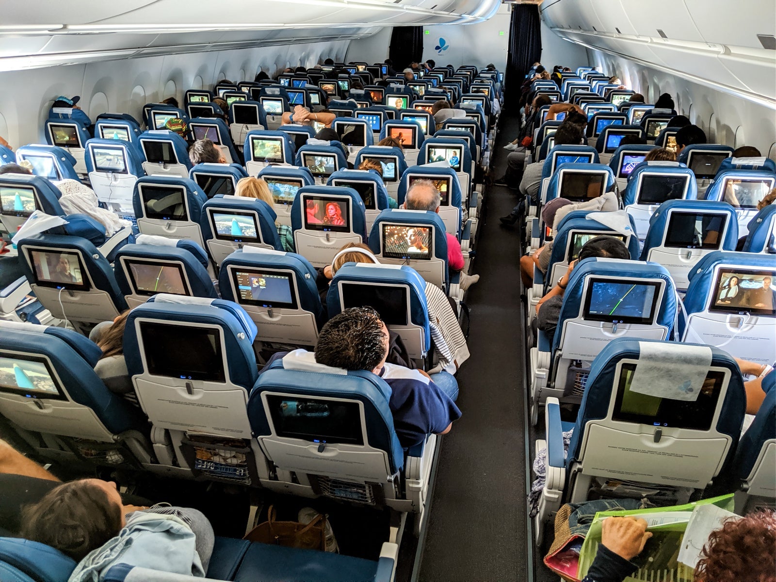 20190521_French Bee_Economy_JTGenter-31