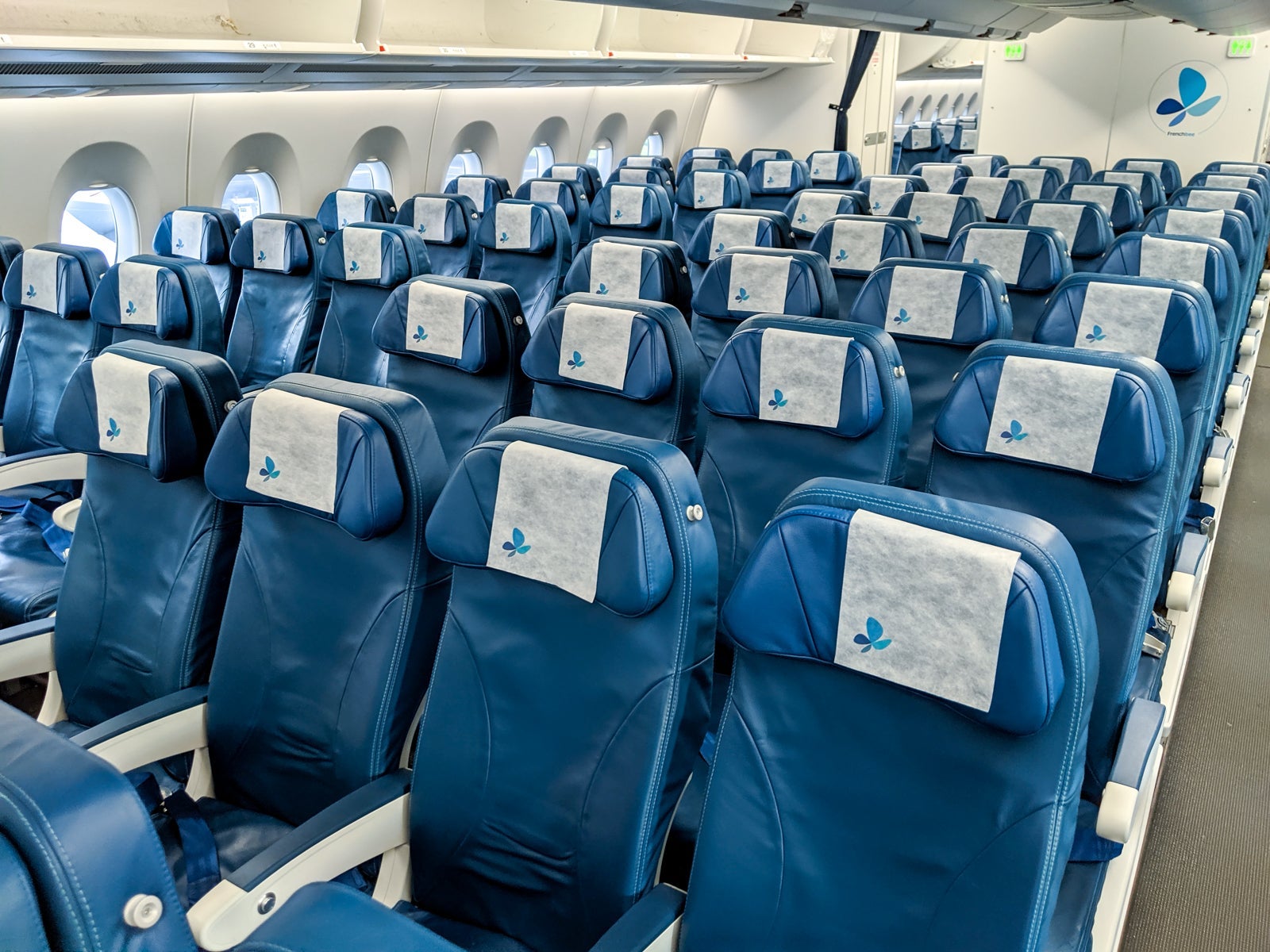 20190521_French Bee_Economy_JTGenter-8