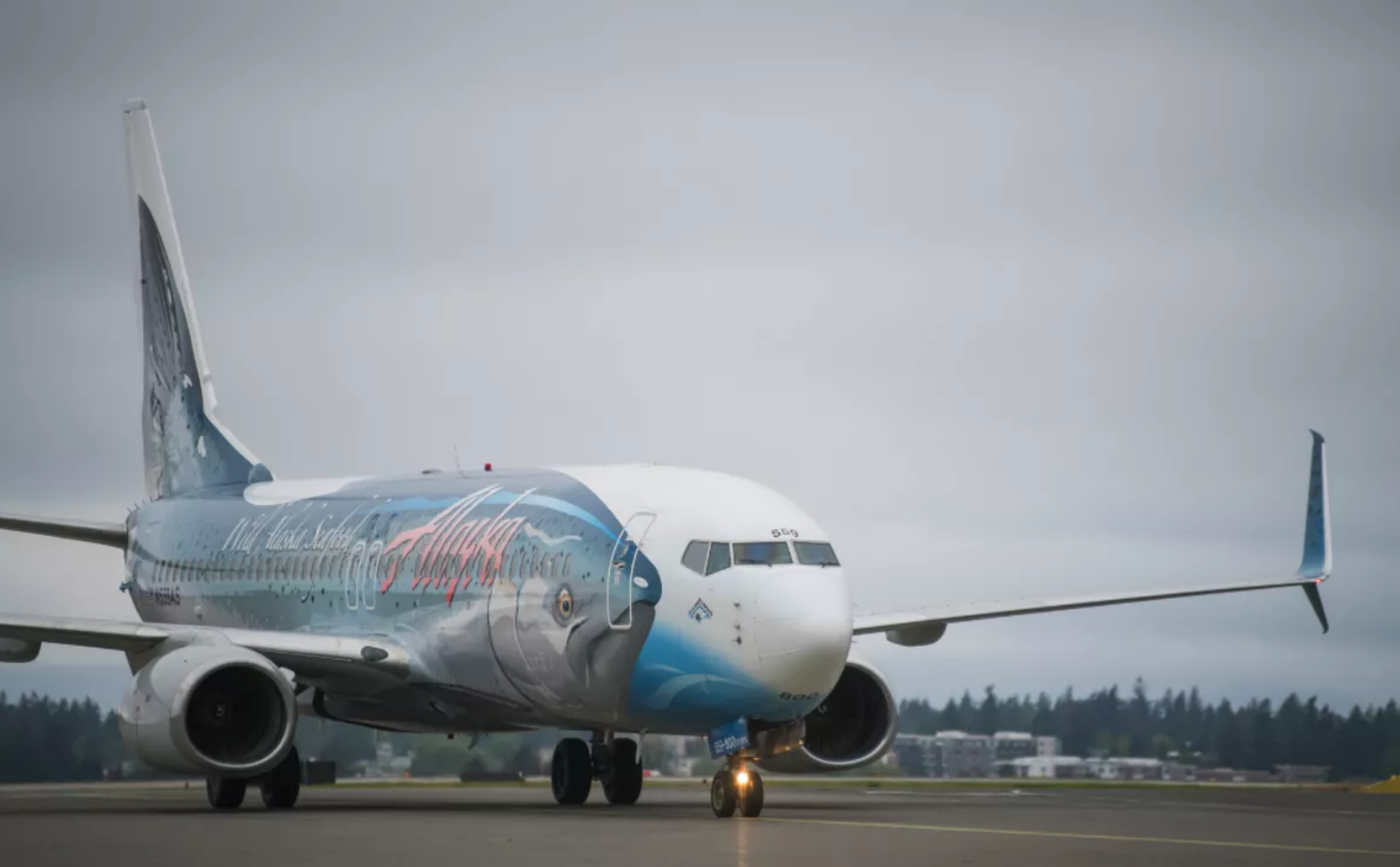 Screen Shot 2019-05-17 at 11.56.17 AM