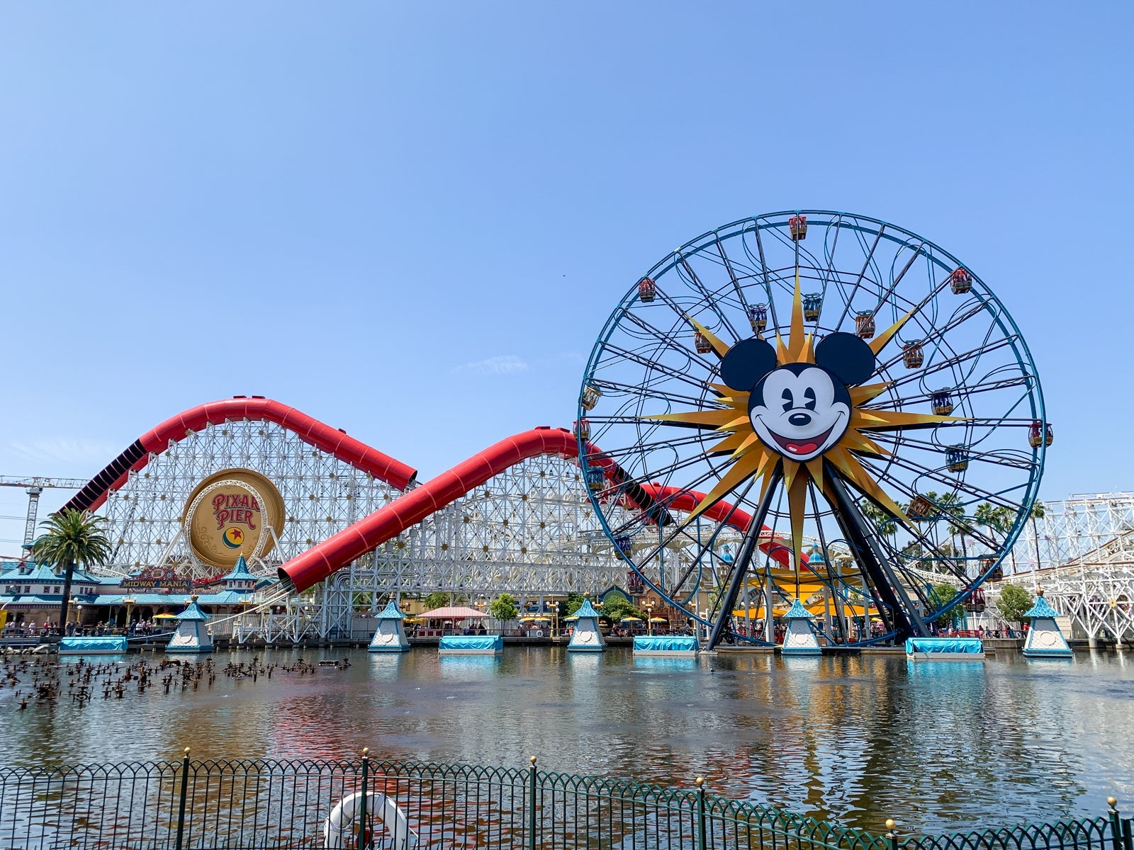 Disneyland Generic Review