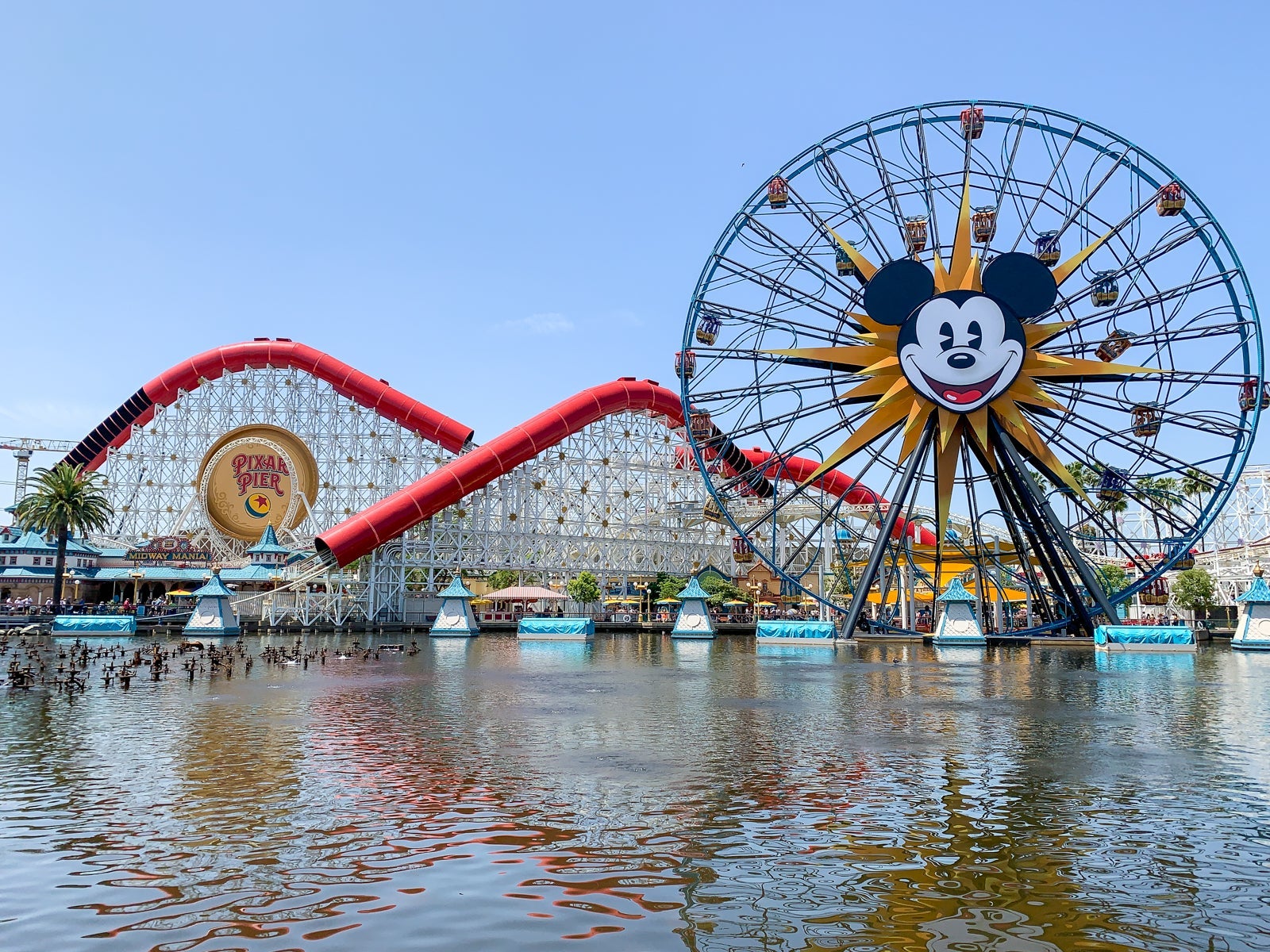 Disneyland Generic Review