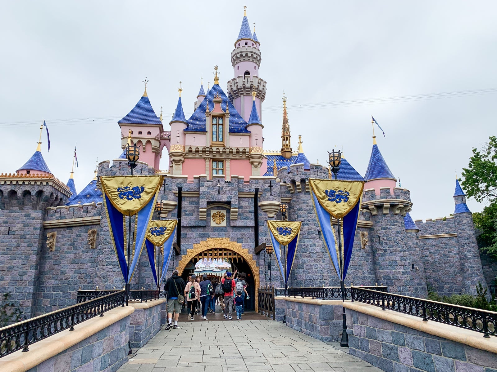 Disneyland Generic Review