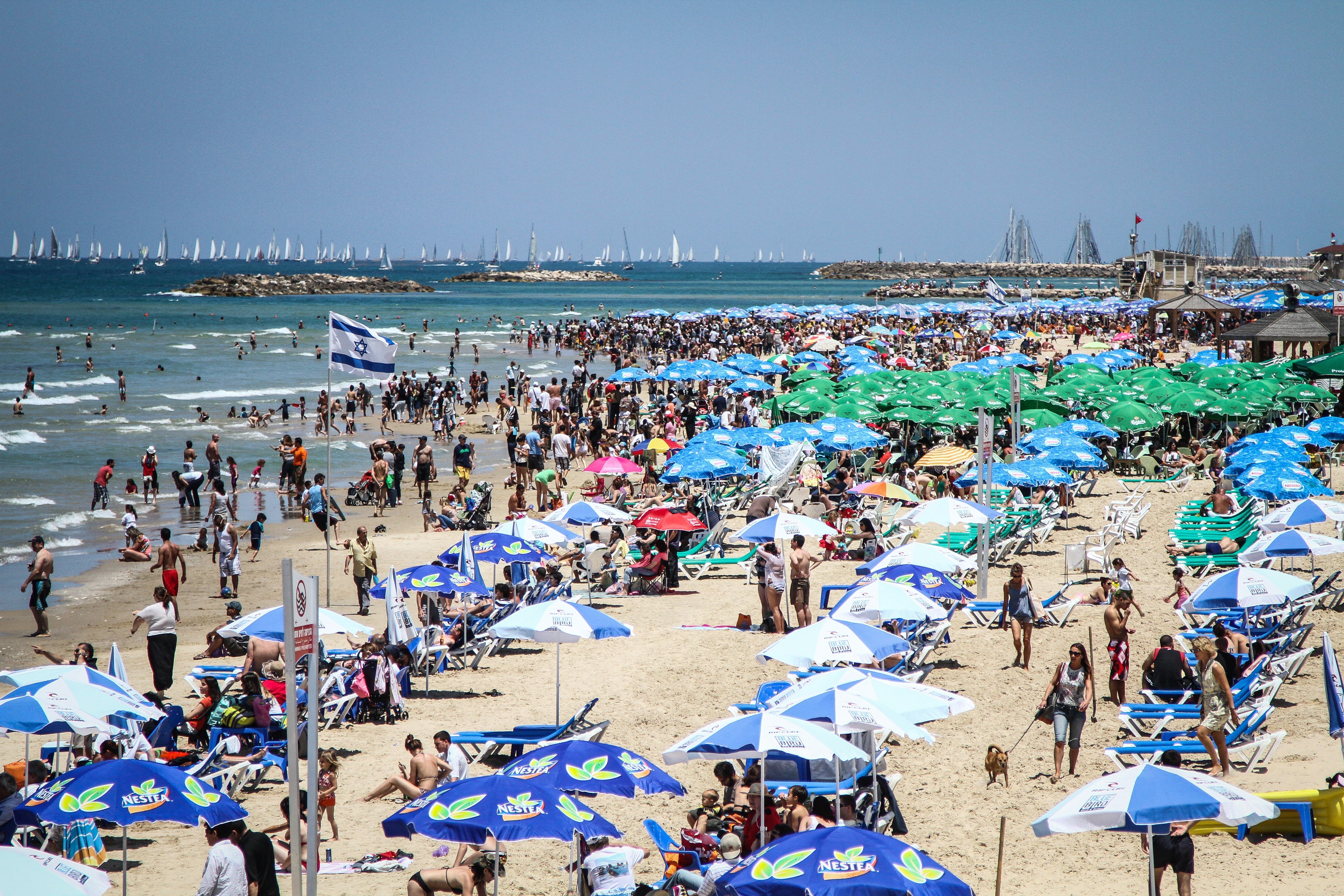 Nicky Kelvin (81 of 11)