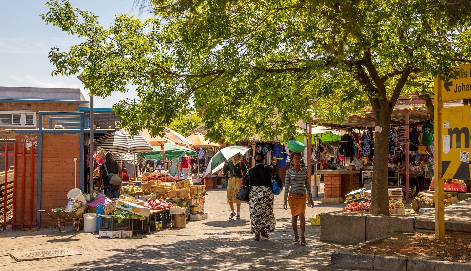 Richard van der Spuy_shutterstock_1180447165_2