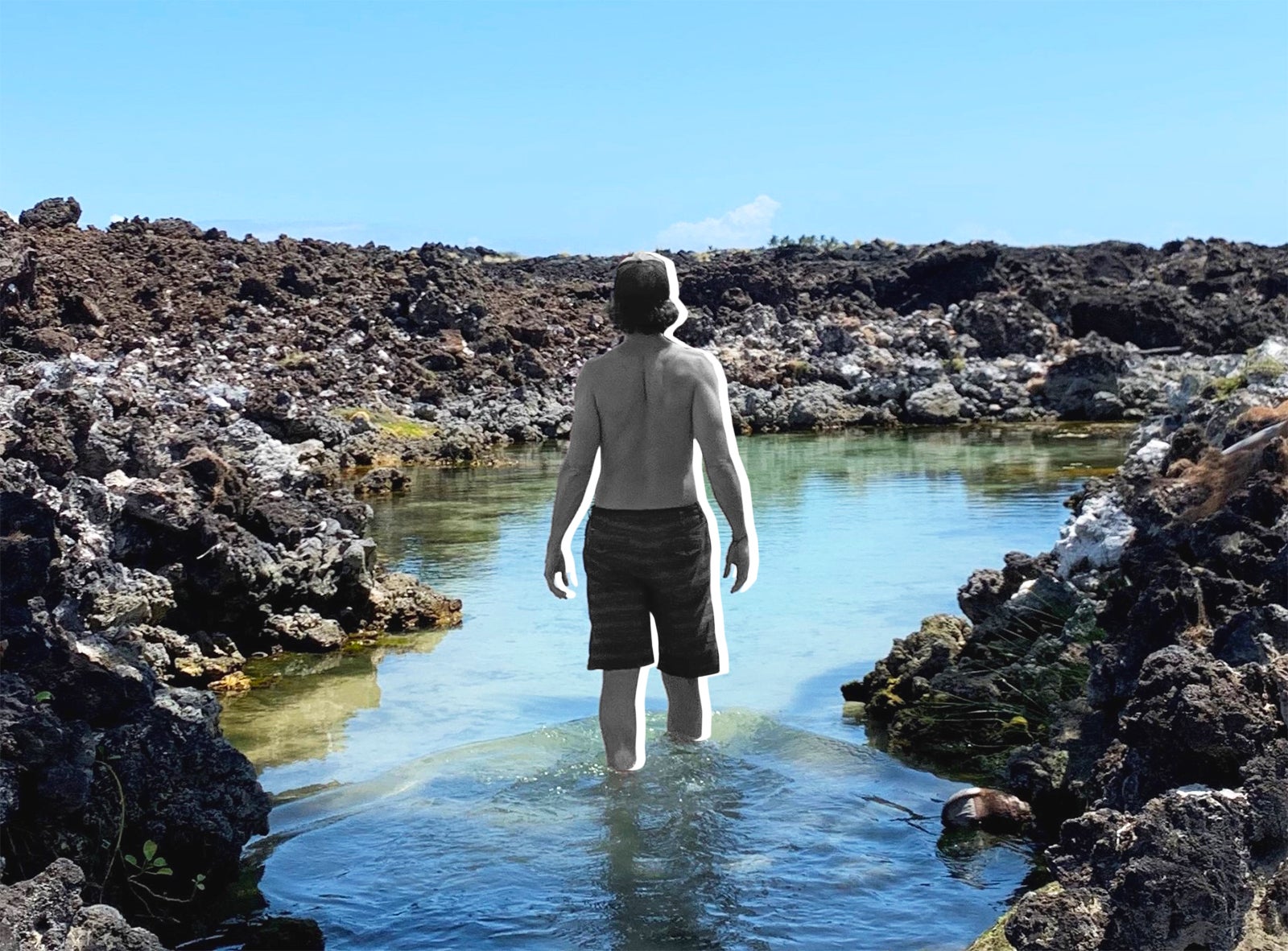 tpmb-bigisland-feature2-bb