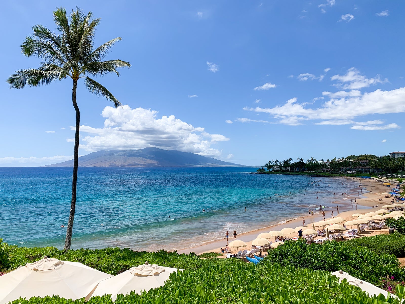 Four Seasons Maui Hotel Review
