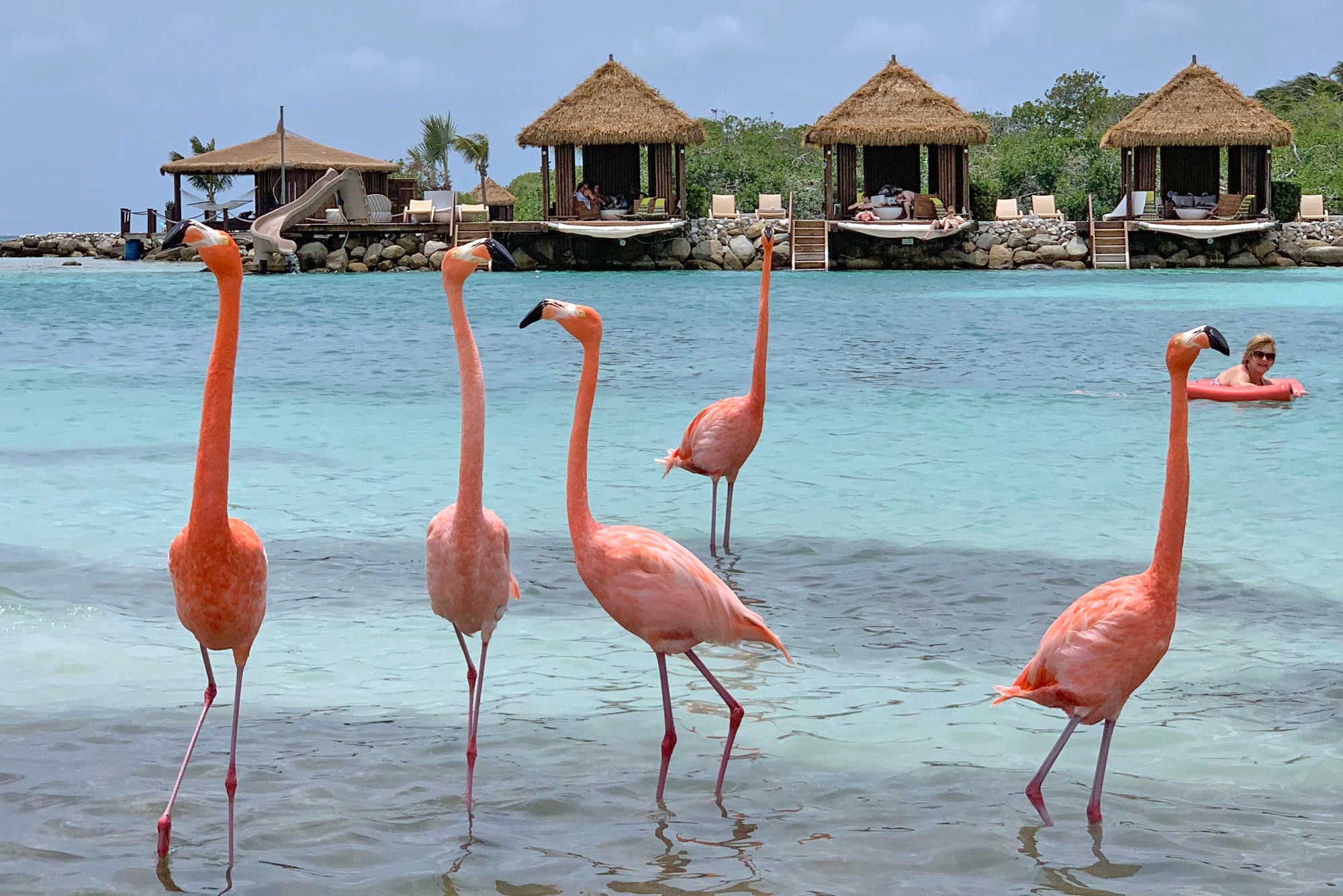 Renaissance Island Plane Spotting AvGeek ZH