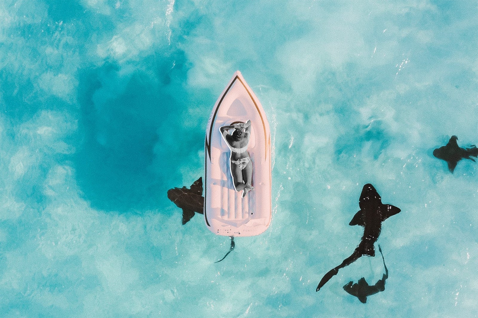 tpmb-fears-feature-bb_edited