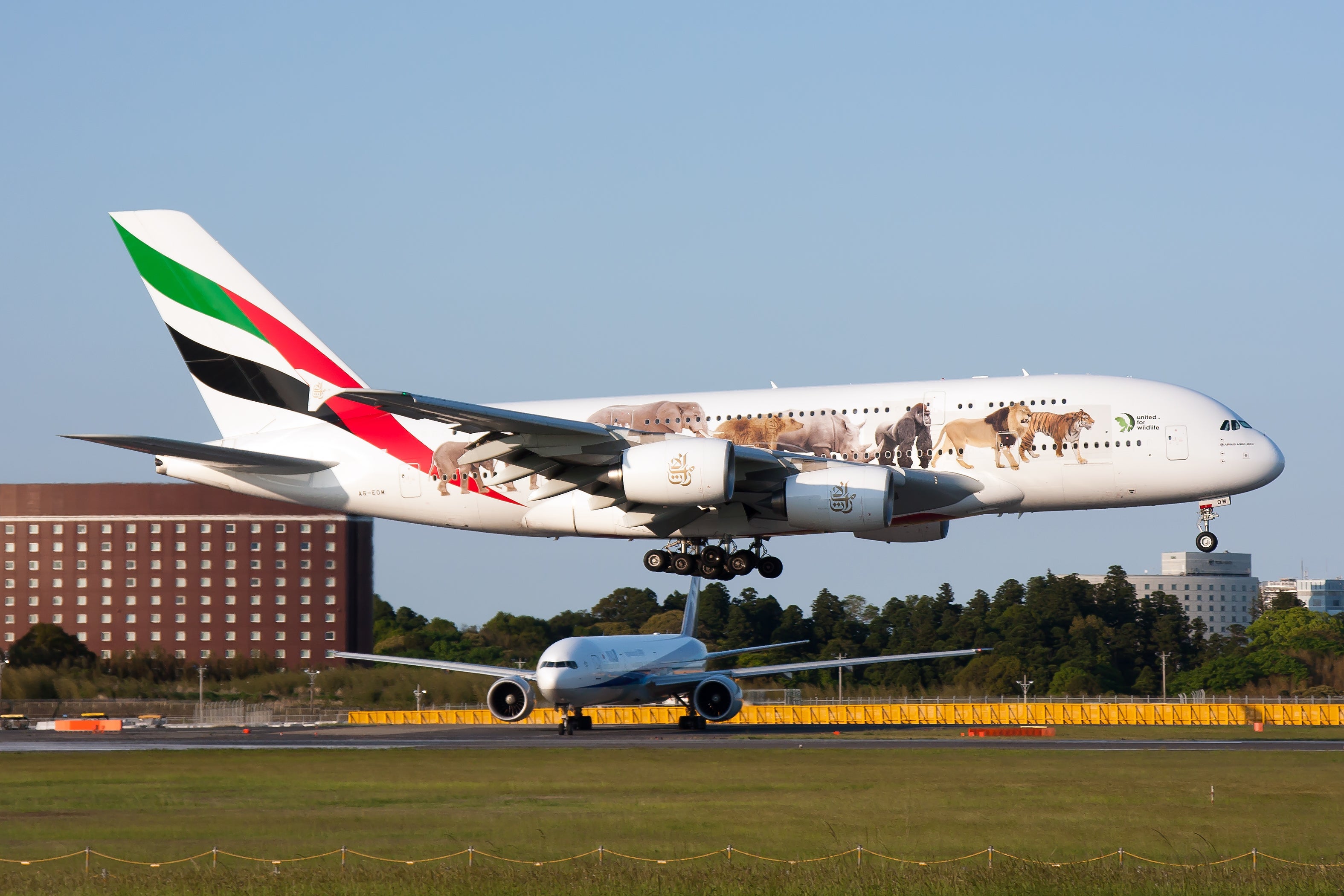 Emirates Airbus 380-800 in United for wildlife special