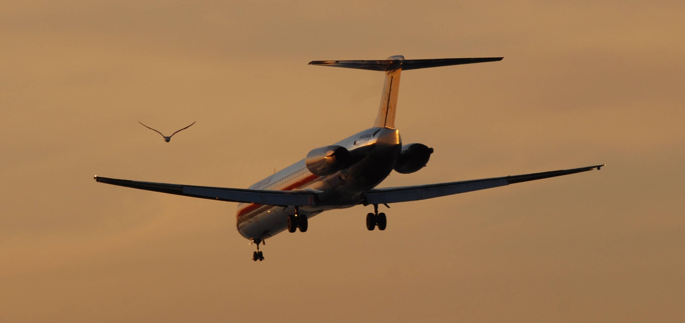 American Airlines MD-80 LGA sunset