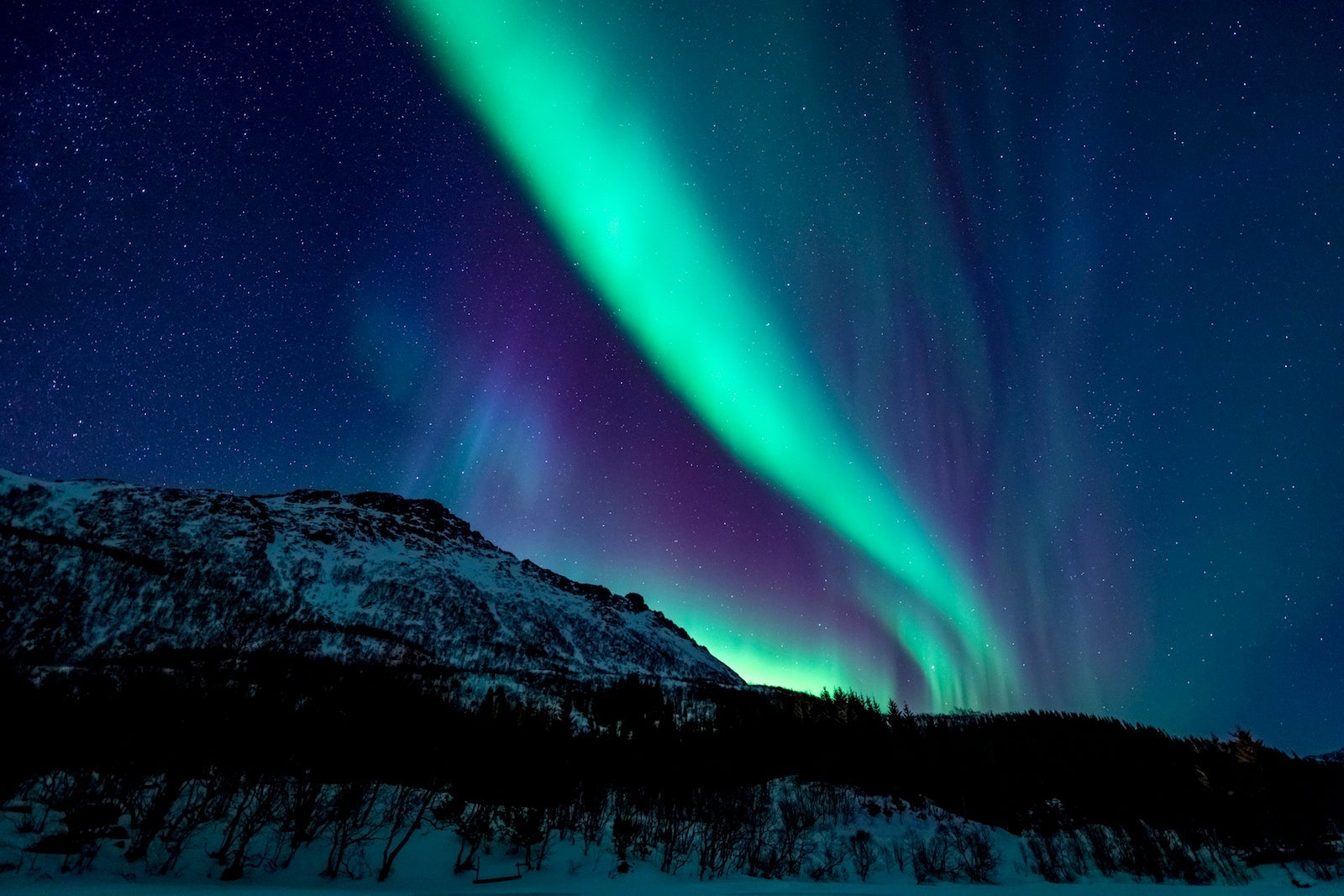 Northern Lights or Aurora borealis in Lofoten islands, Norway. Polar lights in a starry sky over a snowy winter landscape