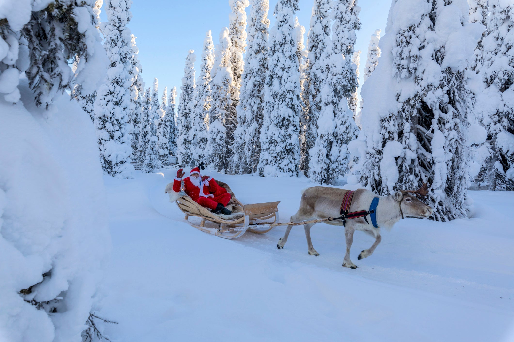 Santa Claus on reindeer sleigh in the snowy forest, Ruka (Kuusamo), Northern Ostrobothnia region, Lapland, Finland