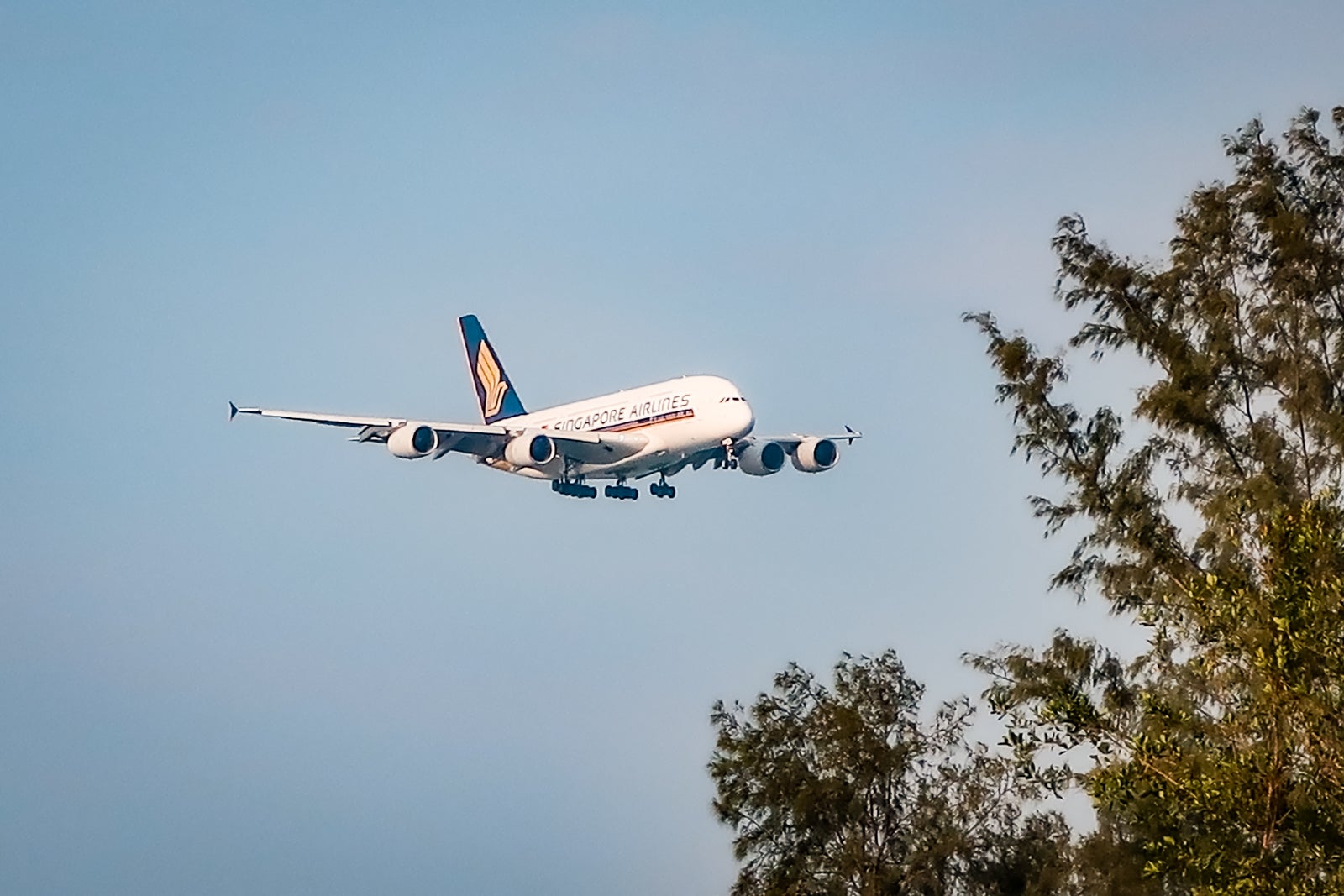 Singapore AVGeek Plane Shots