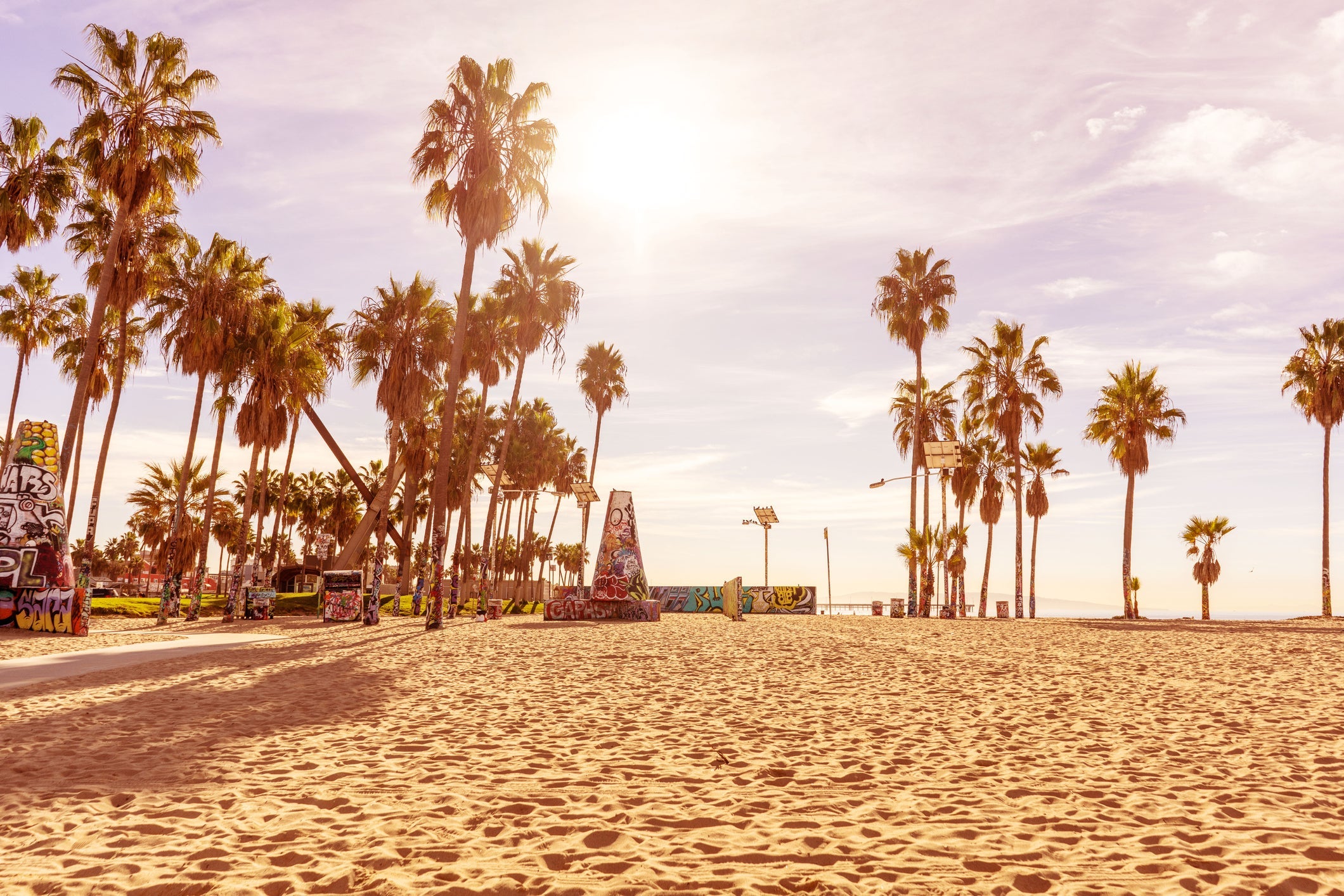 Venice beach in the morning with palm trees and endless sand shore. Los Angeles, California.