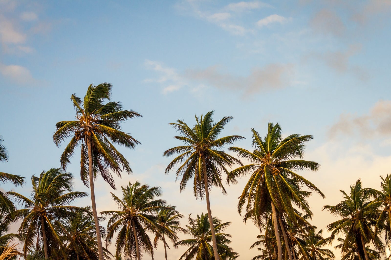 Caribbean_thomas-lefebvre-unsplash
