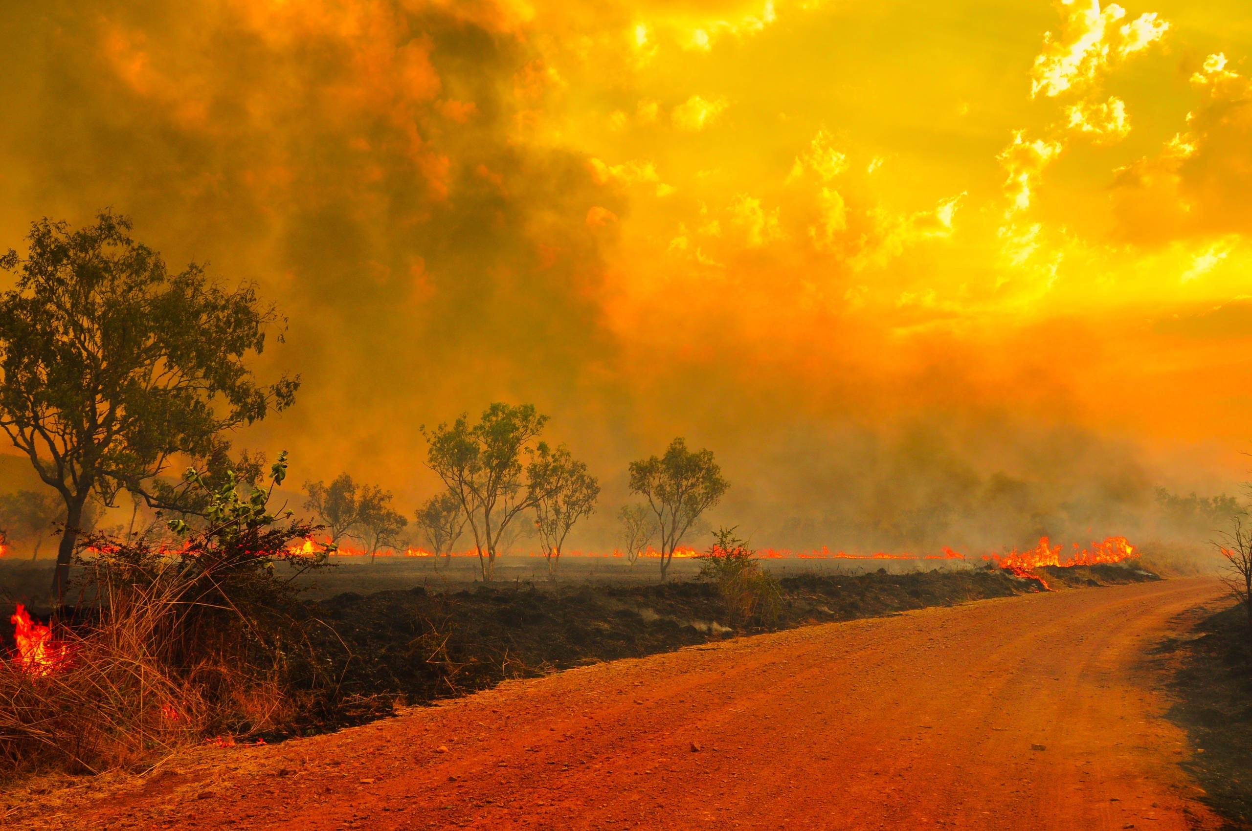 Australian bush fires