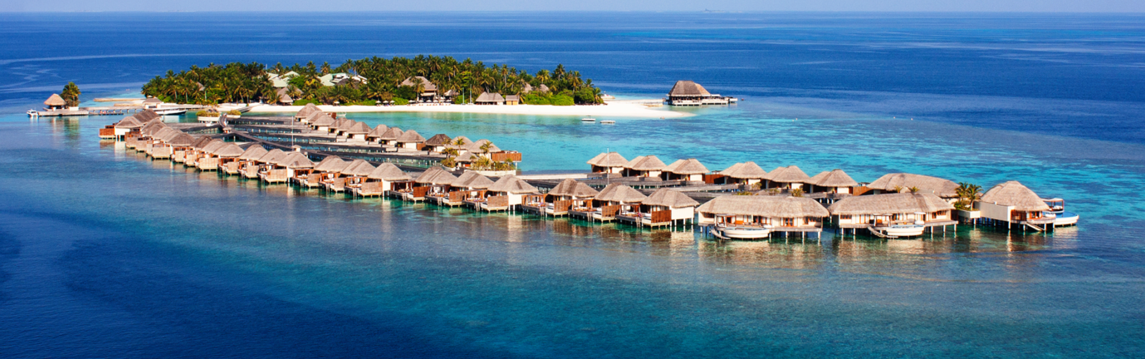 Screen Shot 2020-01-16 at 1.12.45 PM